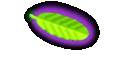 Domenic