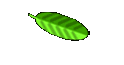Domenic