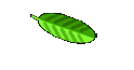 Gabriella