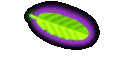 Our Web Site