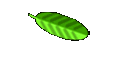 Our Web Site