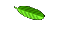 Us